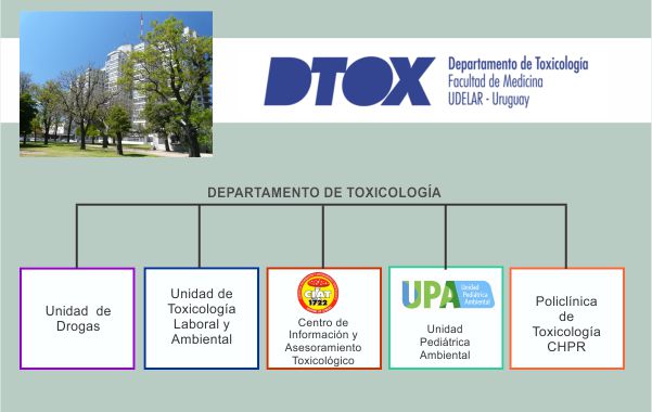 Organigrama